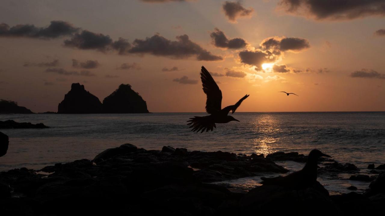 Pousada Naonda Fernando de Noronha Exterior photo